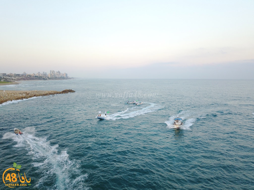 iste3rad sayaden yaffa (9).JPG